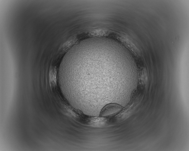 X0000116460334200912161237