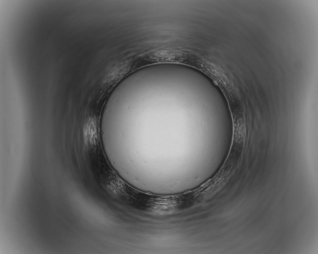 X0000116460335200912161237