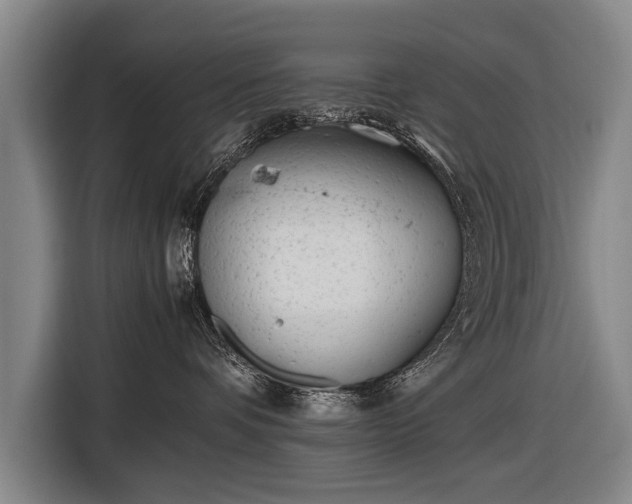 X0000116460336200912161237