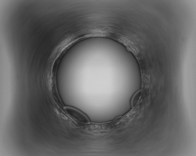 X0000116460338200912161236