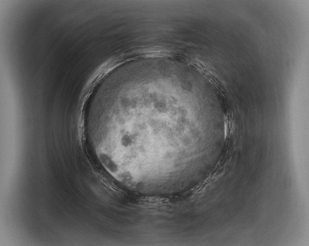 X0000116460339200912161236