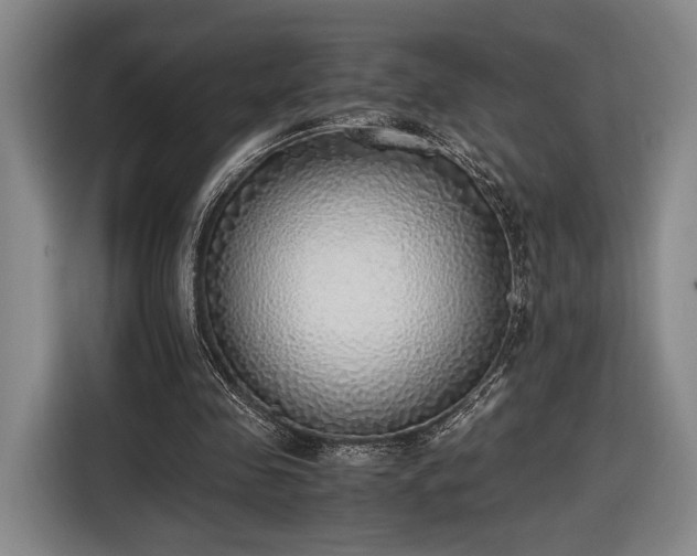 X0000116460341200912161236