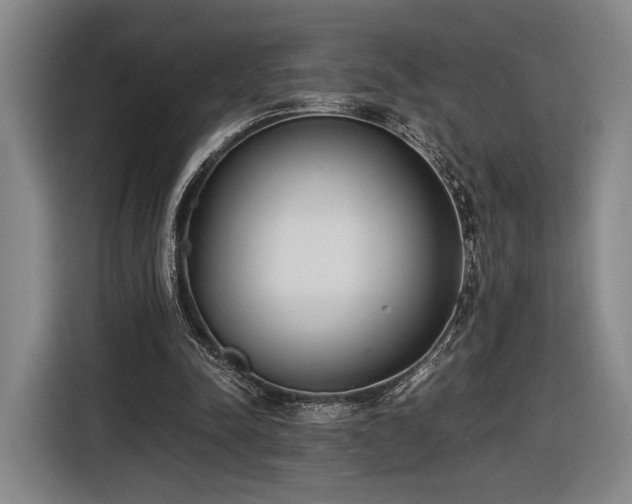 X0000116460342200912161236
