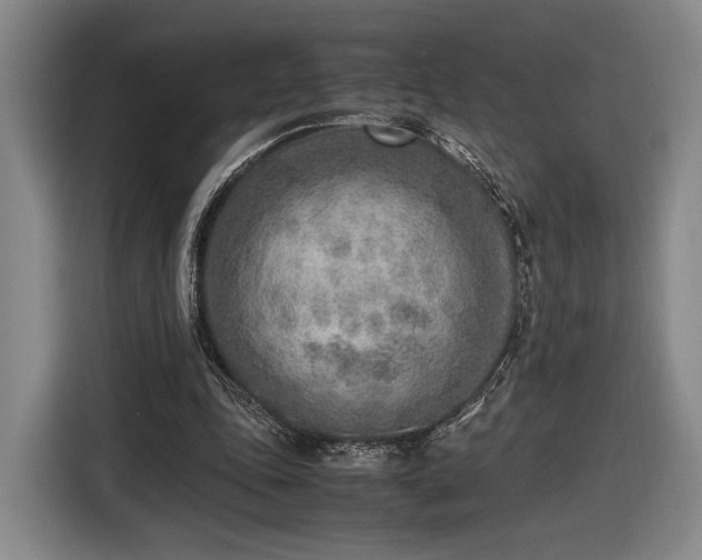 X0000116460343200912161236