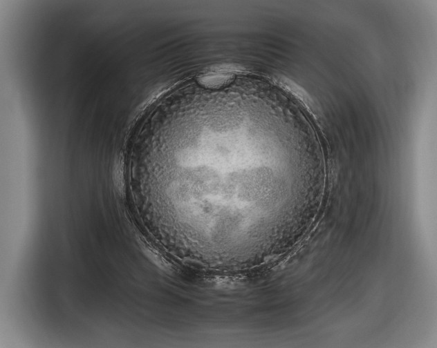 X0000116460345200912161236