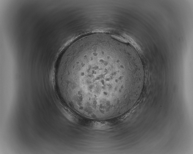 X0000116460346200912161236