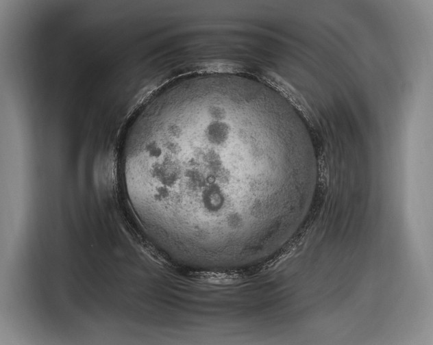 X0000116460347200912161236