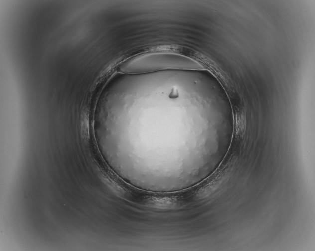 X0000116460349200912161236