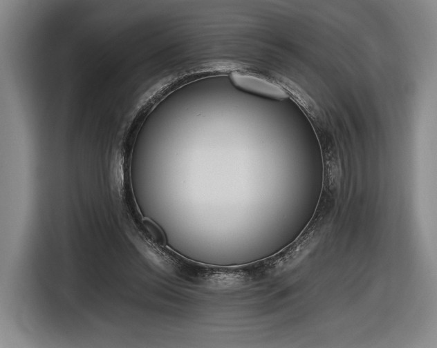 X0000116460350200912161236