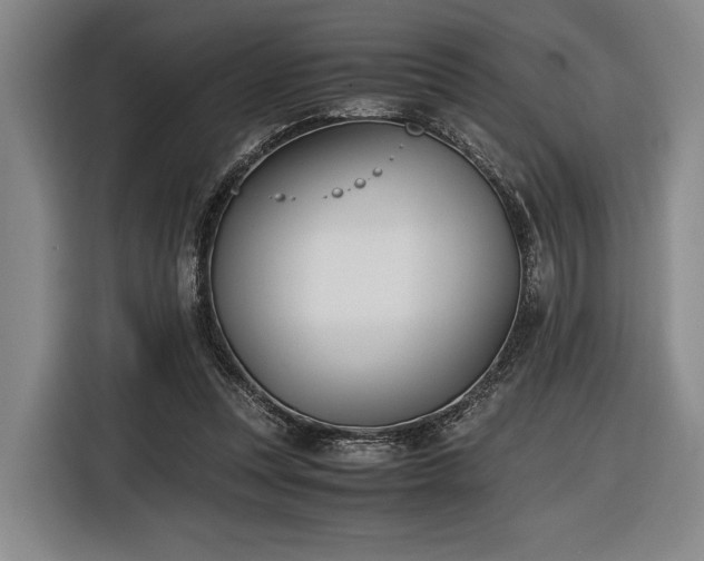 X0000116460351200912161236