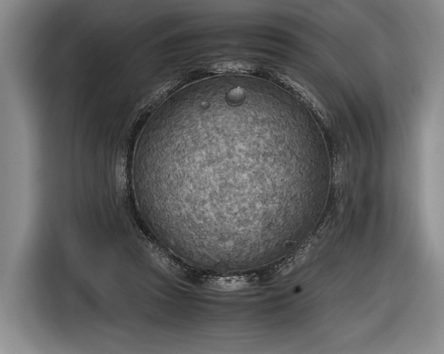 X0000116460353200912161237