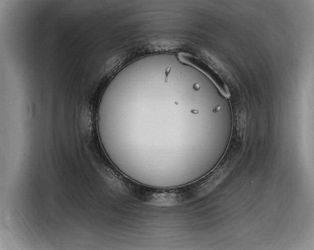 X0000116460362200912161237