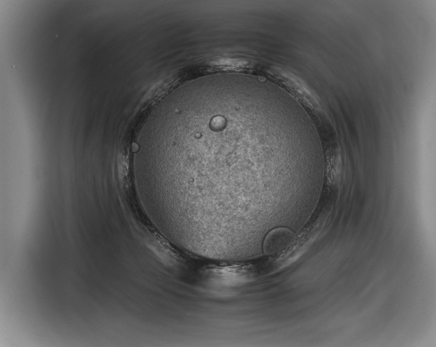 X0000116460365200912161237