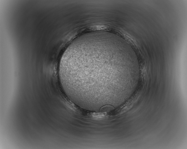 X0000116460373200912161237