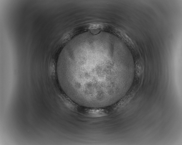 X0000116460375200912161237