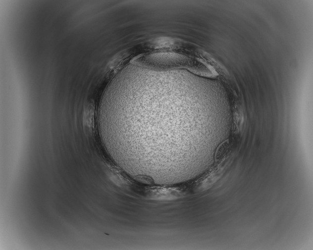 X0000116460379200912161237