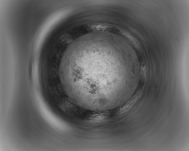X0000116460381200912161237