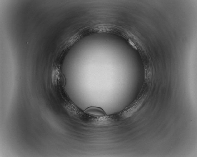 X0000116460382200912161237