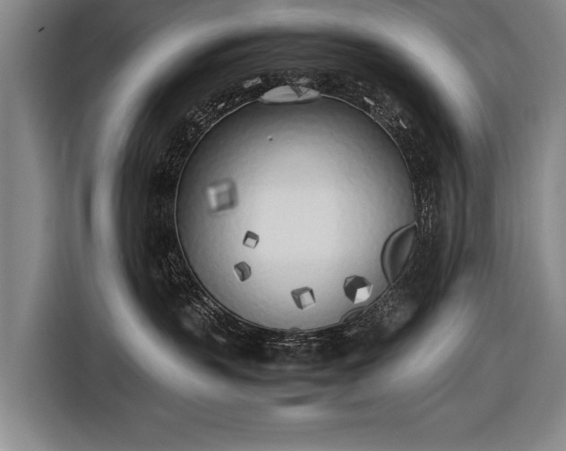 X0000116460383200912161237