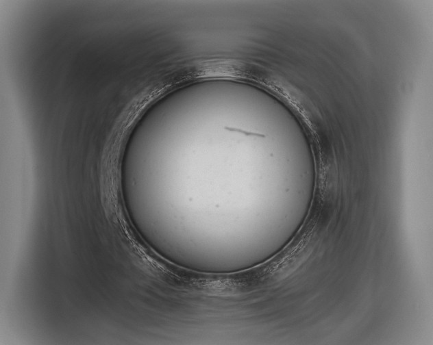 X0000116460385200912161236