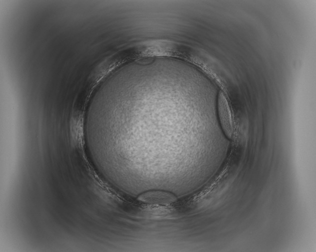 X0000116460386200912161236