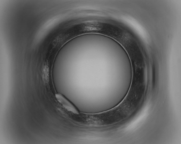 X0000116460387200912161236
