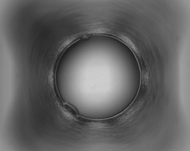 X0000116460389200912161236