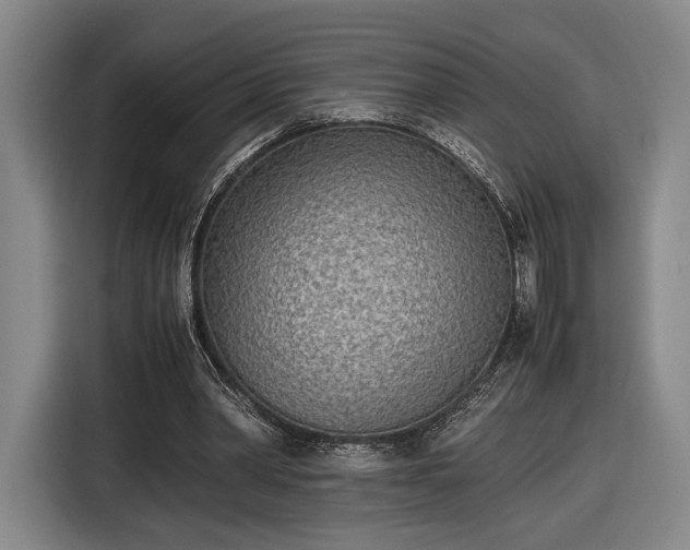 X0000116460390200912161236