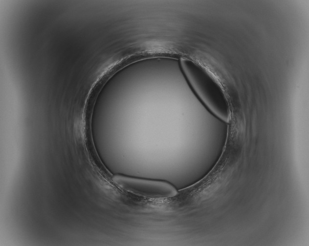 X0000116460391200912161236