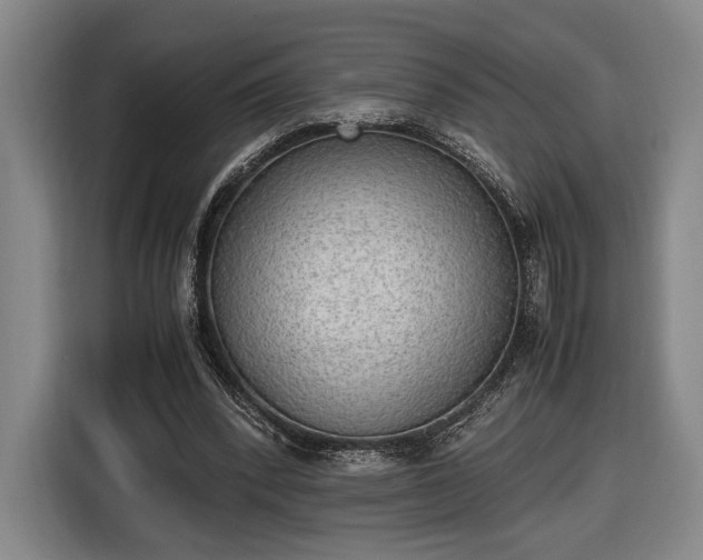 X0000116460392200912161236