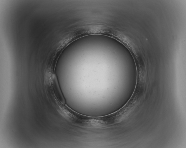 X0000116460393200912161236