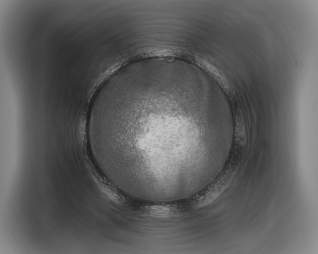 X0000116460394200912161236
