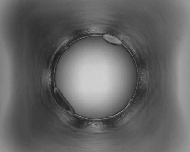 X0000116460395200912161236