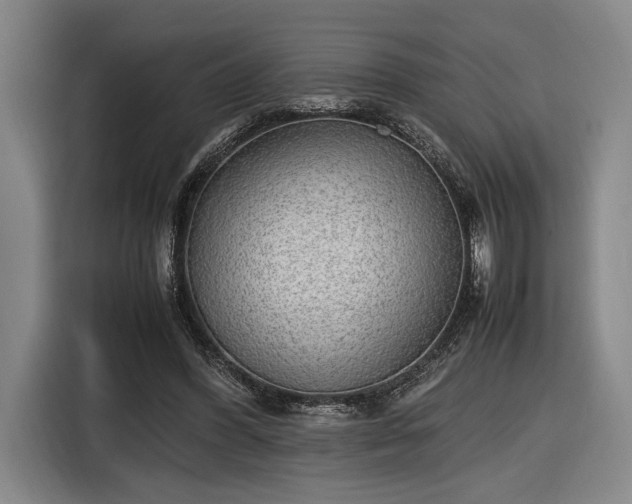 X0000116460396200912161236
