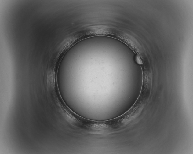 X0000116460397200912161236