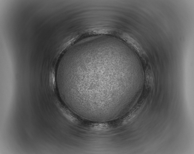 X0000116460398200912161236