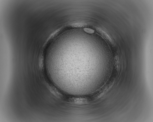 X0000116460400200912161236