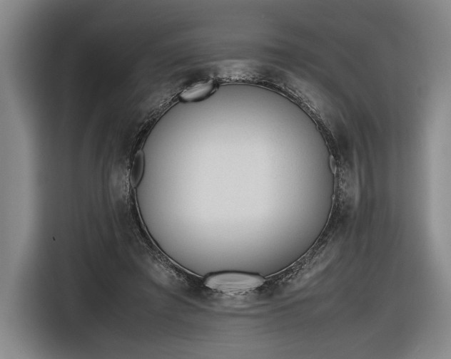 X0000116460401200912161236
