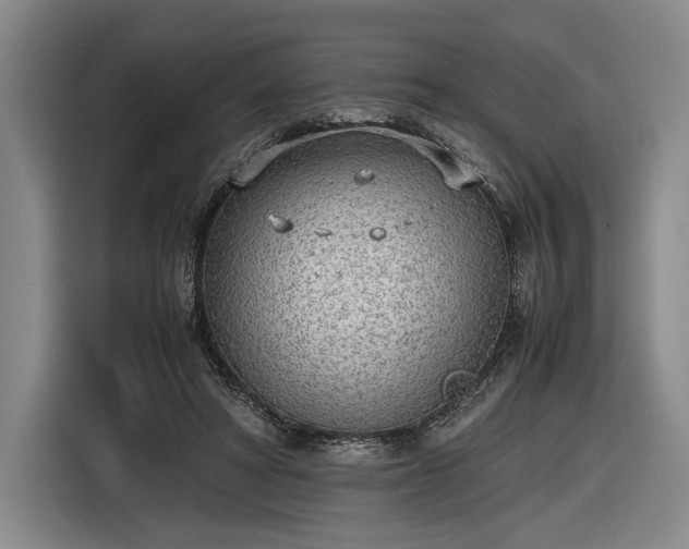 X0000116460402200912161236