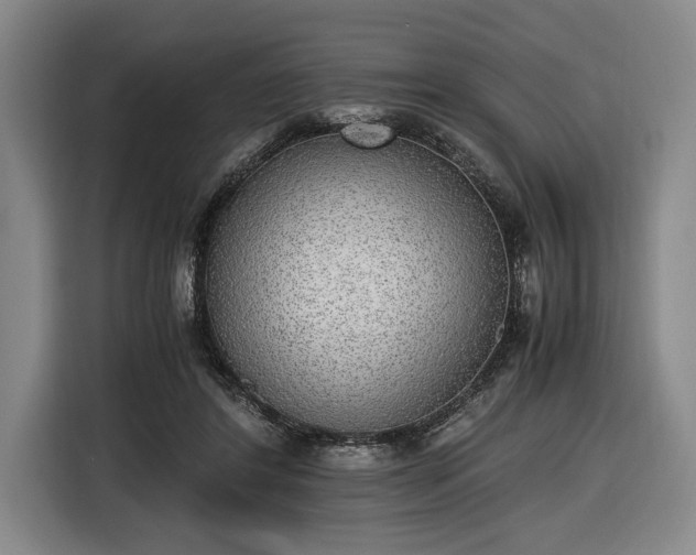 X0000116460404200912161236