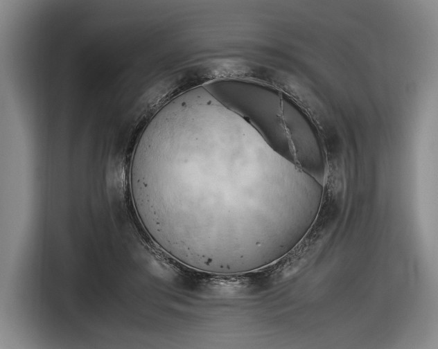 X0000116460405200912161236