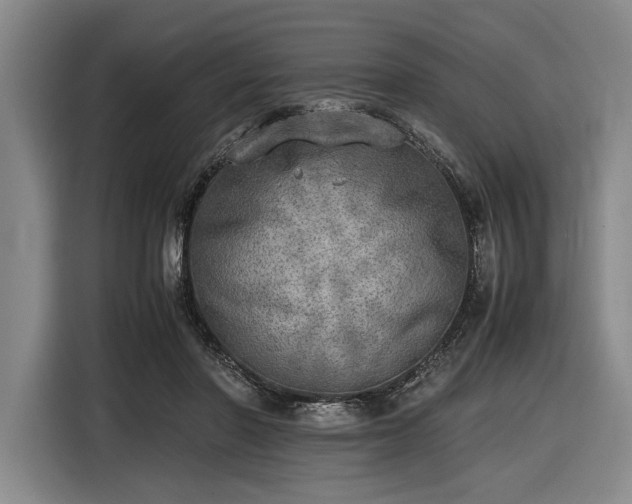 X0000116460406200912161236