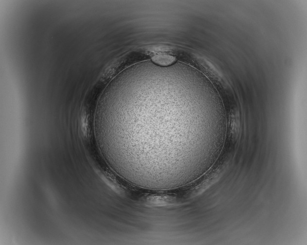 X0000116460408200912161236