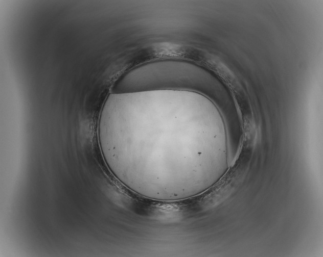 X0000116460409200912161236