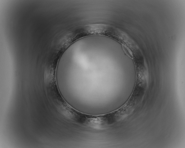 X0000116460411200912161236