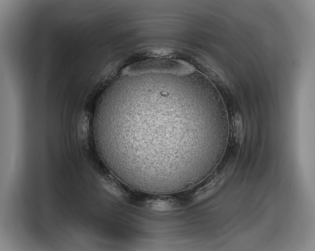 X0000116460412200912161236