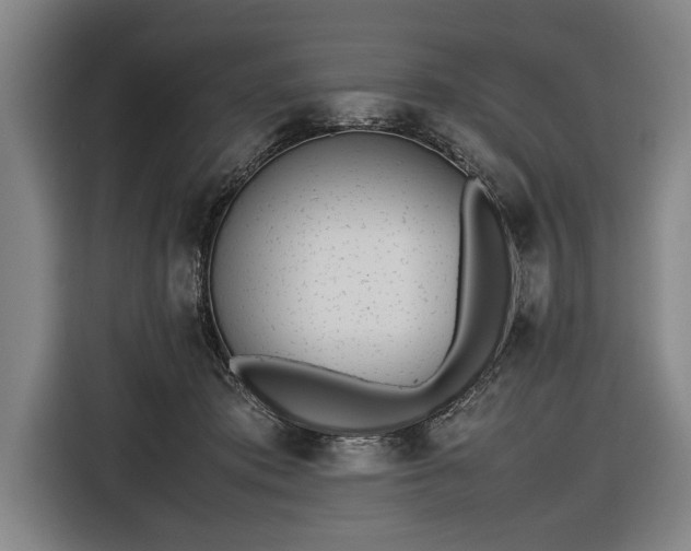 X0000116460413200912161236