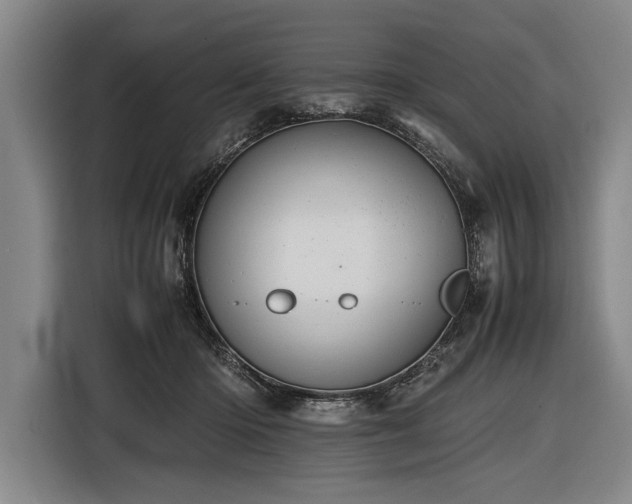 X0000116460414200912161236