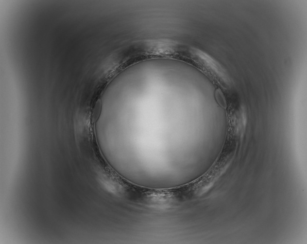 X0000116460415200912161236