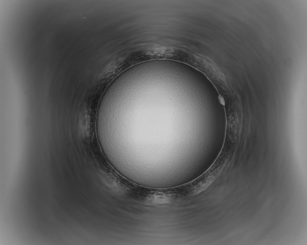 X0000116460416200912161236